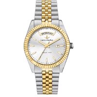 Watch Lucien Rochat BIENNE in Steel R0453124003